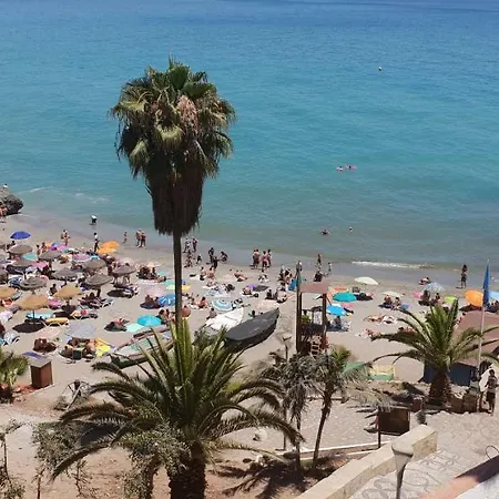 Neptuno Torrecilla * 네르하